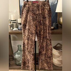2/$40 Bianca Taupe & Brown Floral Velvet Pants size 6